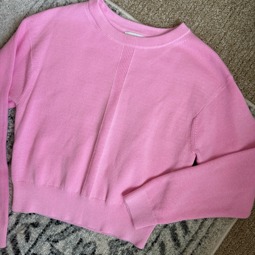 Banana Republic Bubble Gum Pink Crew Neck Sweater